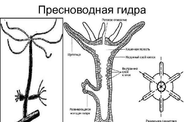 Кракен даркнет отменился заказ