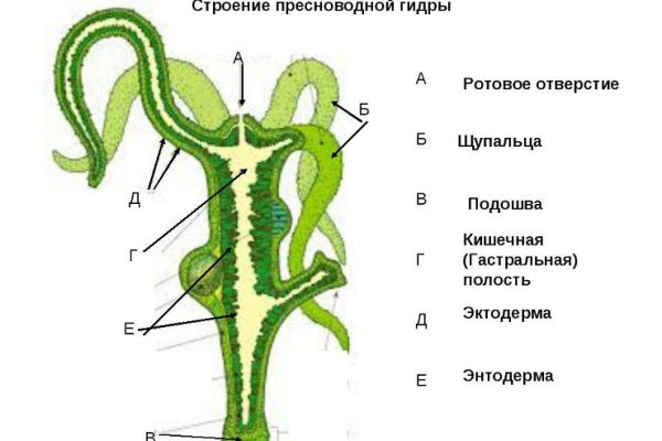 Kraken ссылка тг